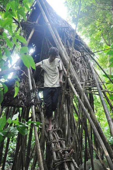 Sau một lần bom Mỹ rơi và nổ ngay trong nhà, ông Hồ Văn Thanh đã quyết định đưa người con trai tên Hồ Văn Lang vào rừng sâu để tránh những trận dội bom của quân đội Mỹ. Cho tới một ngày tháng 8/2013, người dân xã Trà Phong, huyện Tây Trà, tỉnh Quảng Ngãi không khỏi xôn xao trước thông tin về hai cha con  người rừng sống tách biệt xã hội bên ngoài trong suốt 39 năm.